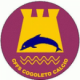 CFFS Cogoleto Calcio